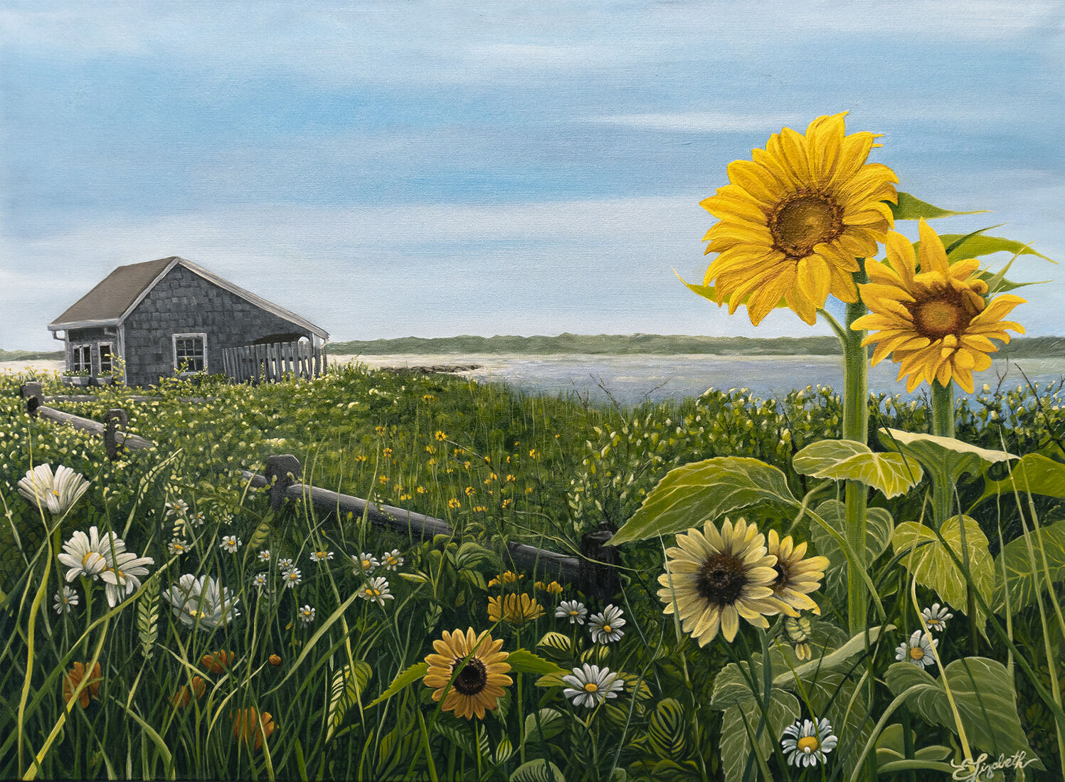 Martha's Vineyard